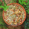 Curo Harmony Mix (৫০০ গ্রাম)