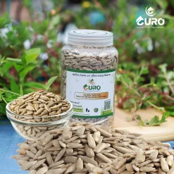 Sunflower Seed Raw/ সূর্যমুখী বীজ