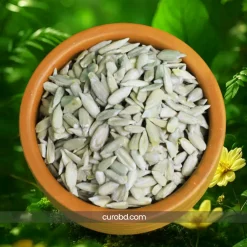 Roasted Sunflower Seed / ভাজা সূর্যমুখী বীজ
